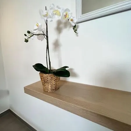 El Cercado Daire Tinajo