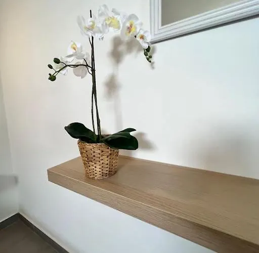 El Cercado דירה טינאחו